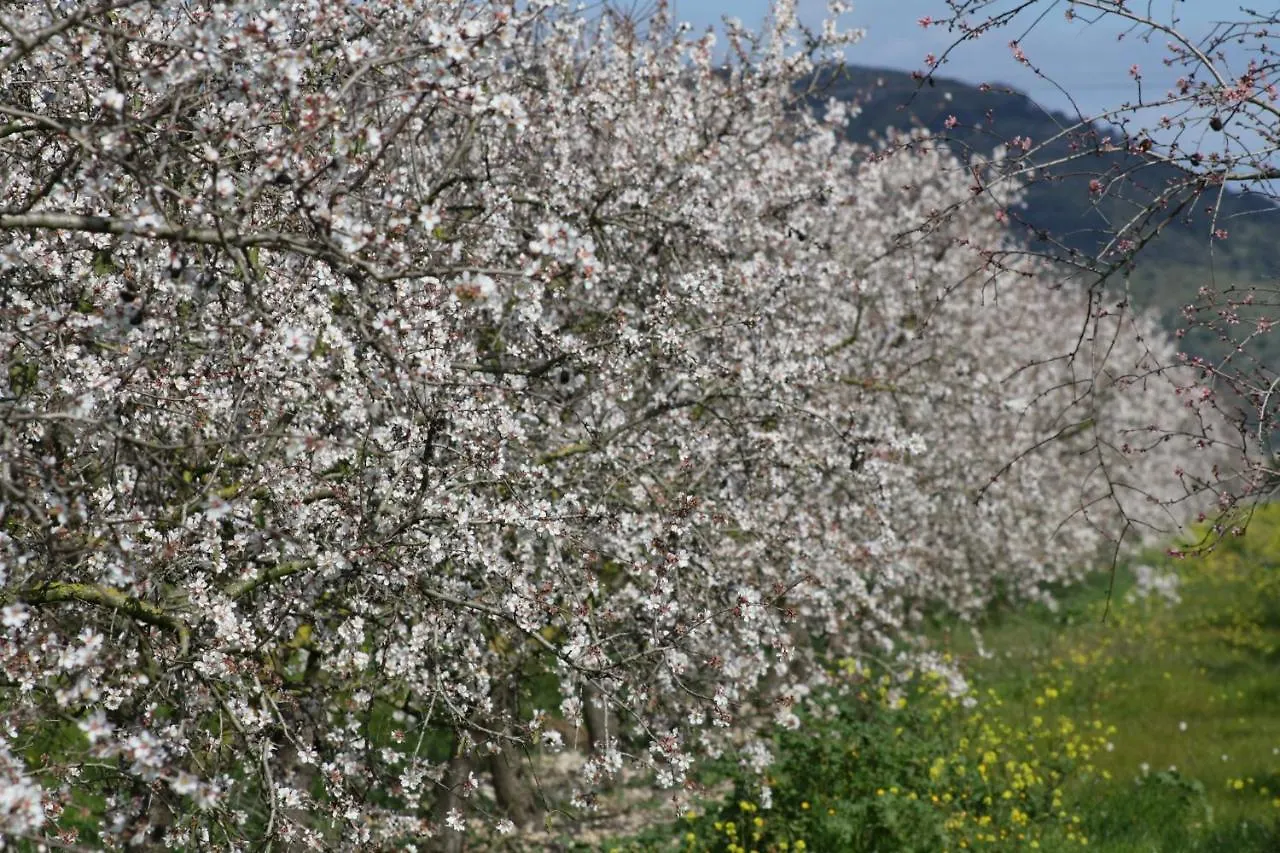 022 Finca Sant Vicenc Etv9096 By Mallorca Charme 무로